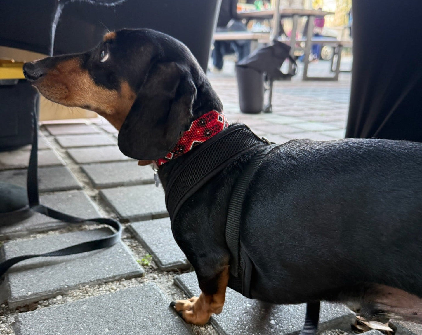 Heat Collar