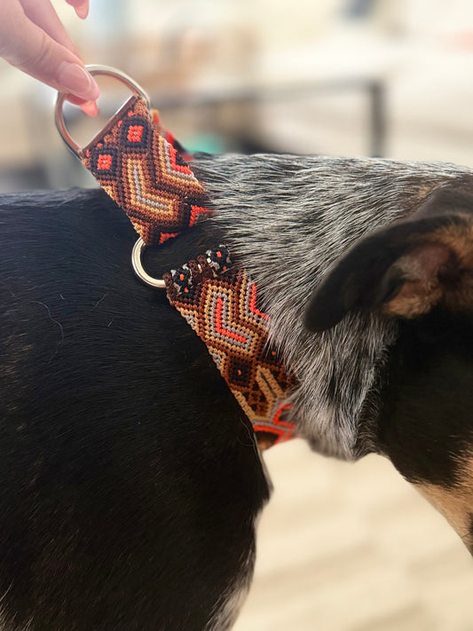 Camden Martingale Collar