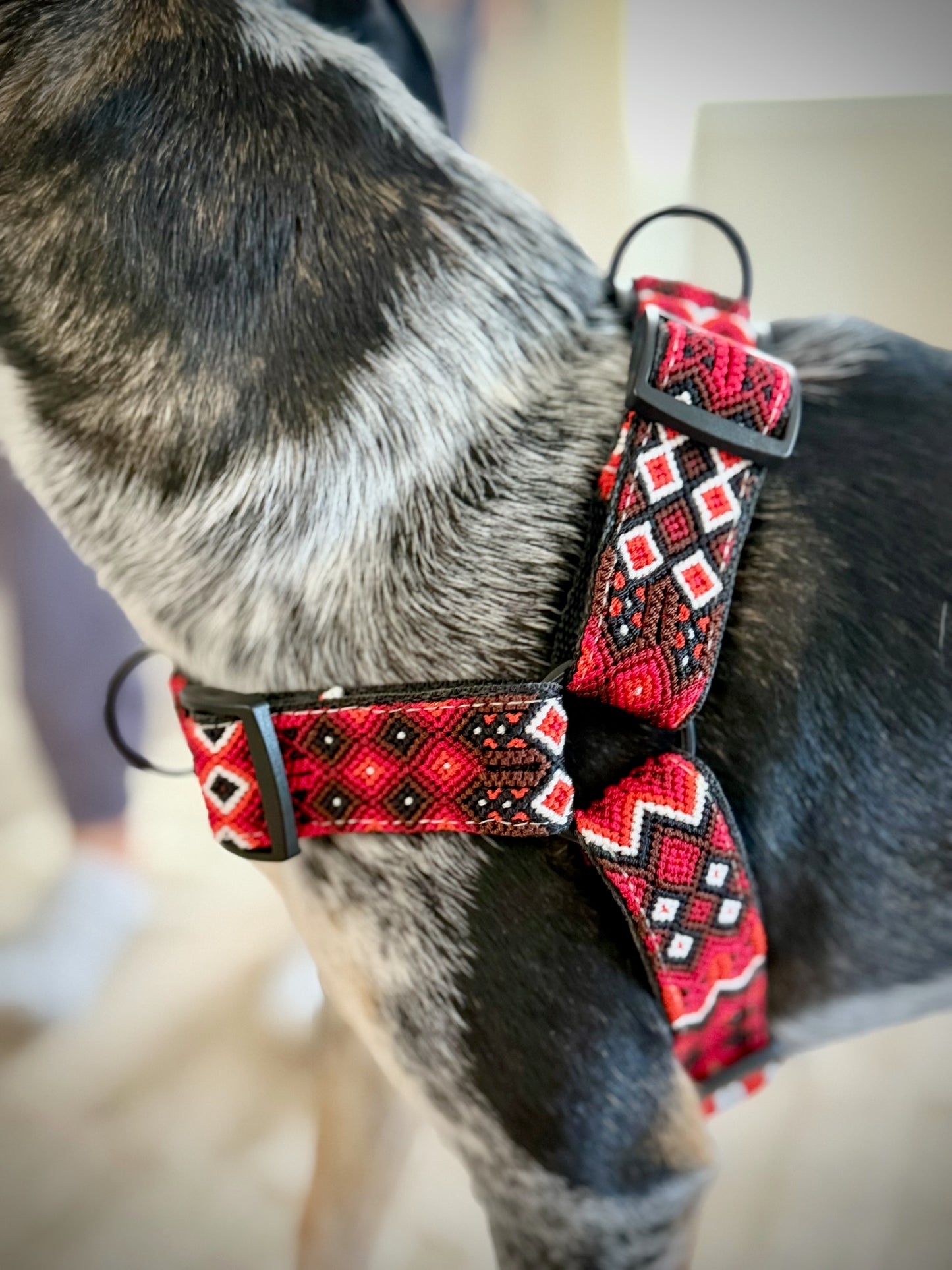 The Heat Harness