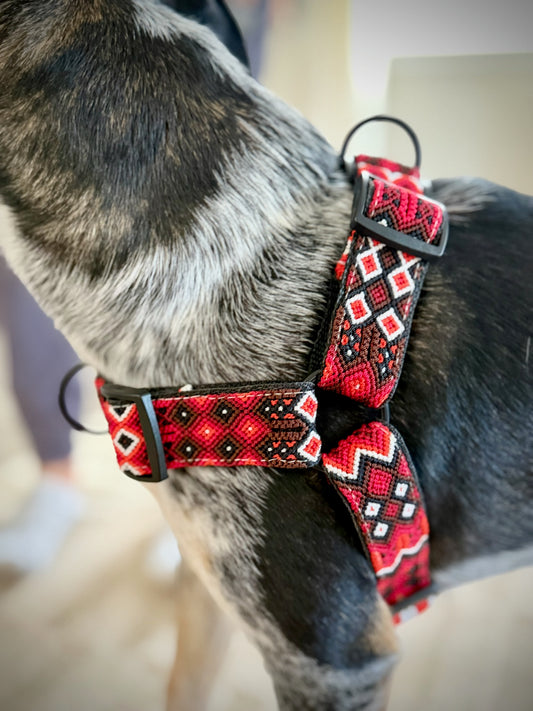 The Heat Harness