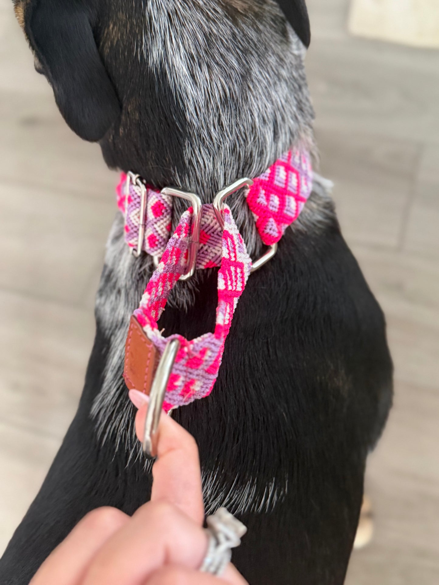 The OC Martingale Collar