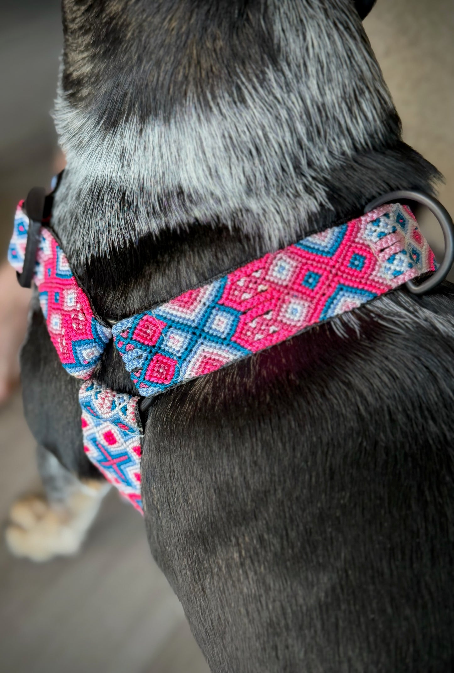 Pretty In Pink Harness