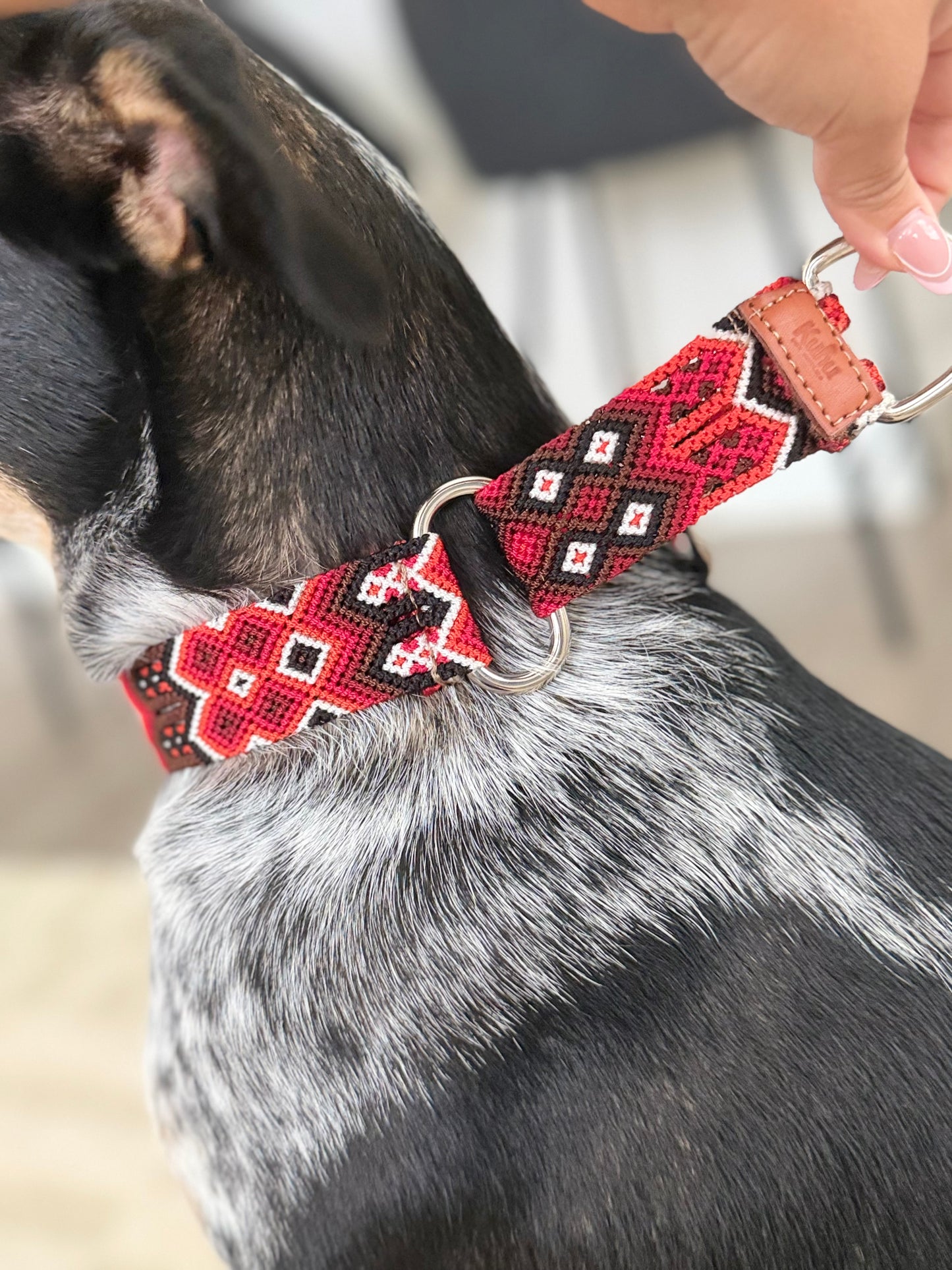 The Heat Martingale Collar