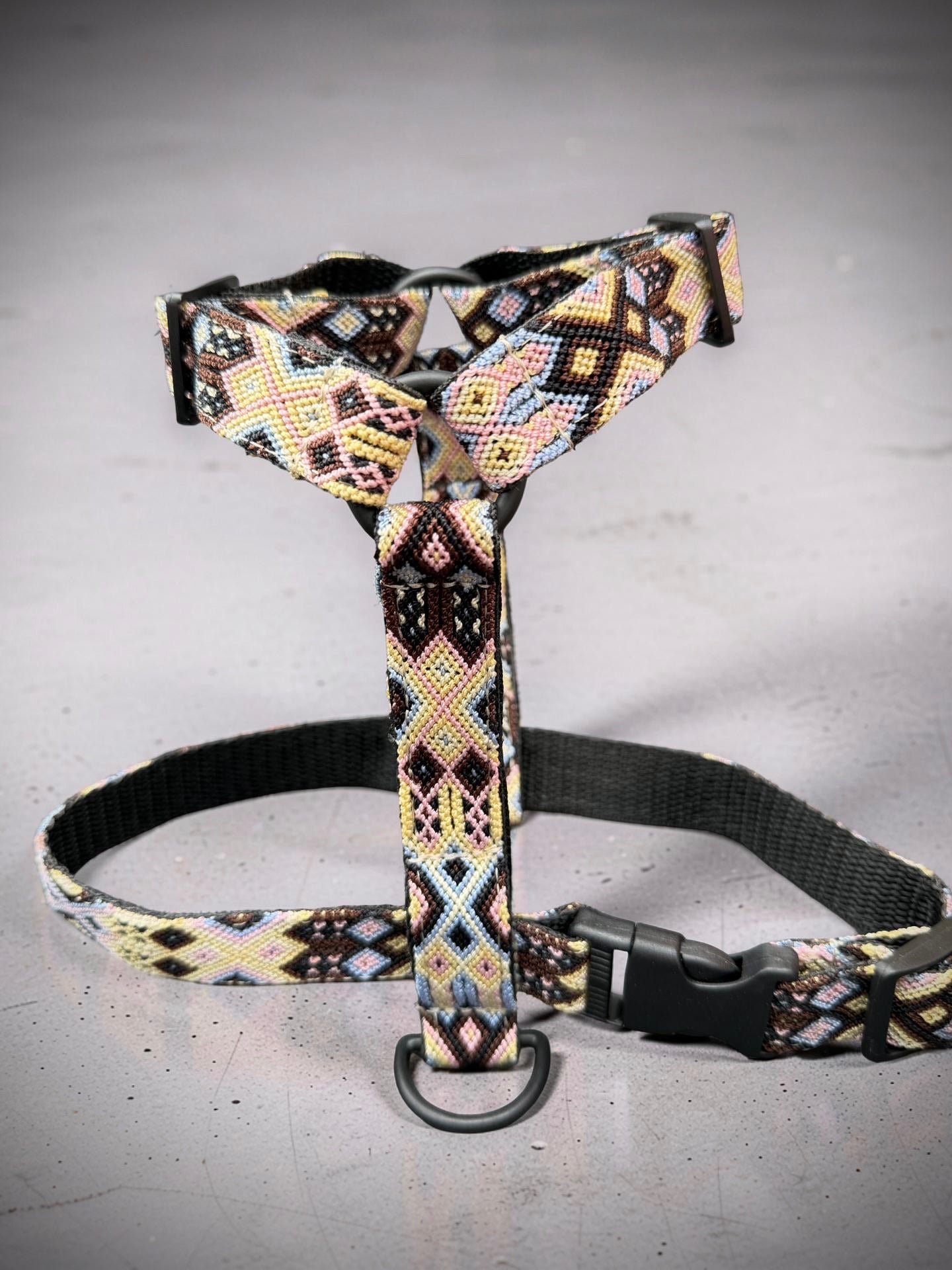 The Ray Harness