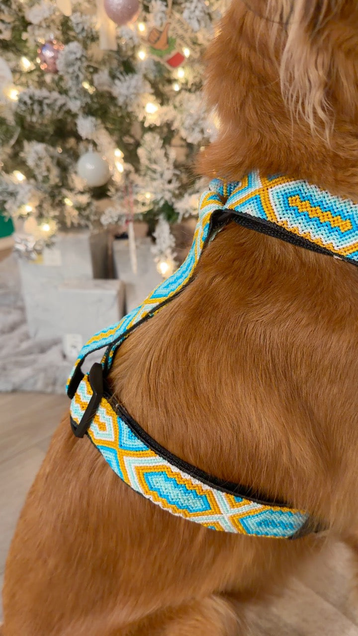 South Beach Harness