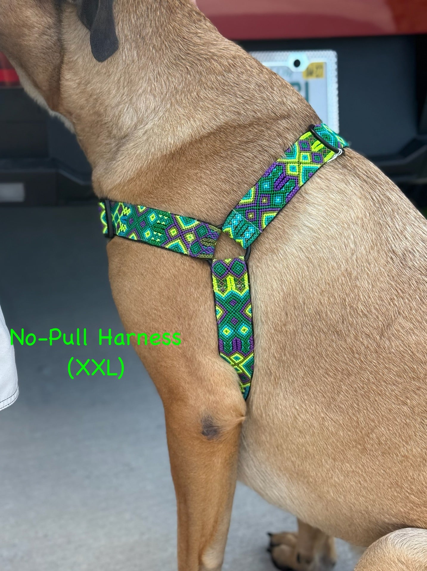 Lahaina Harness