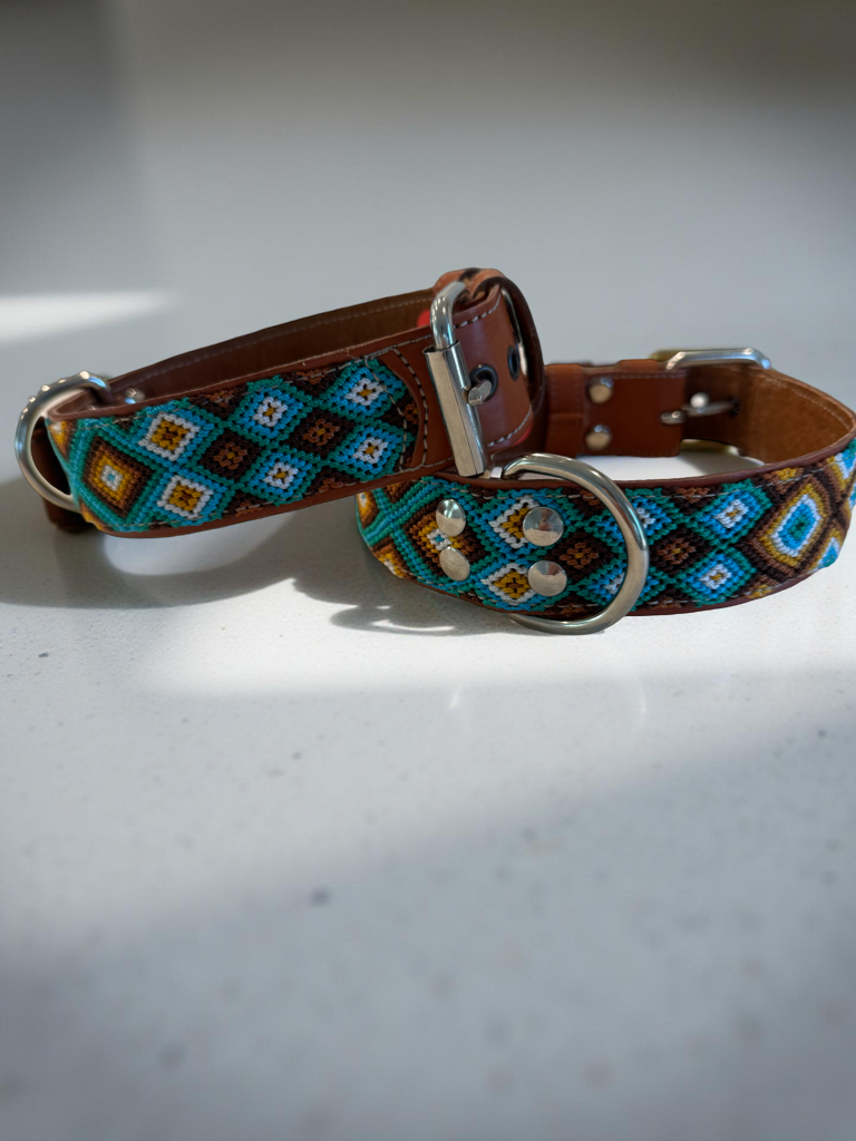 Bruin Collar