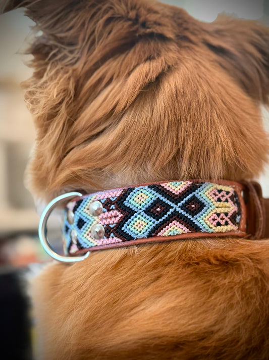 The Ray Collar