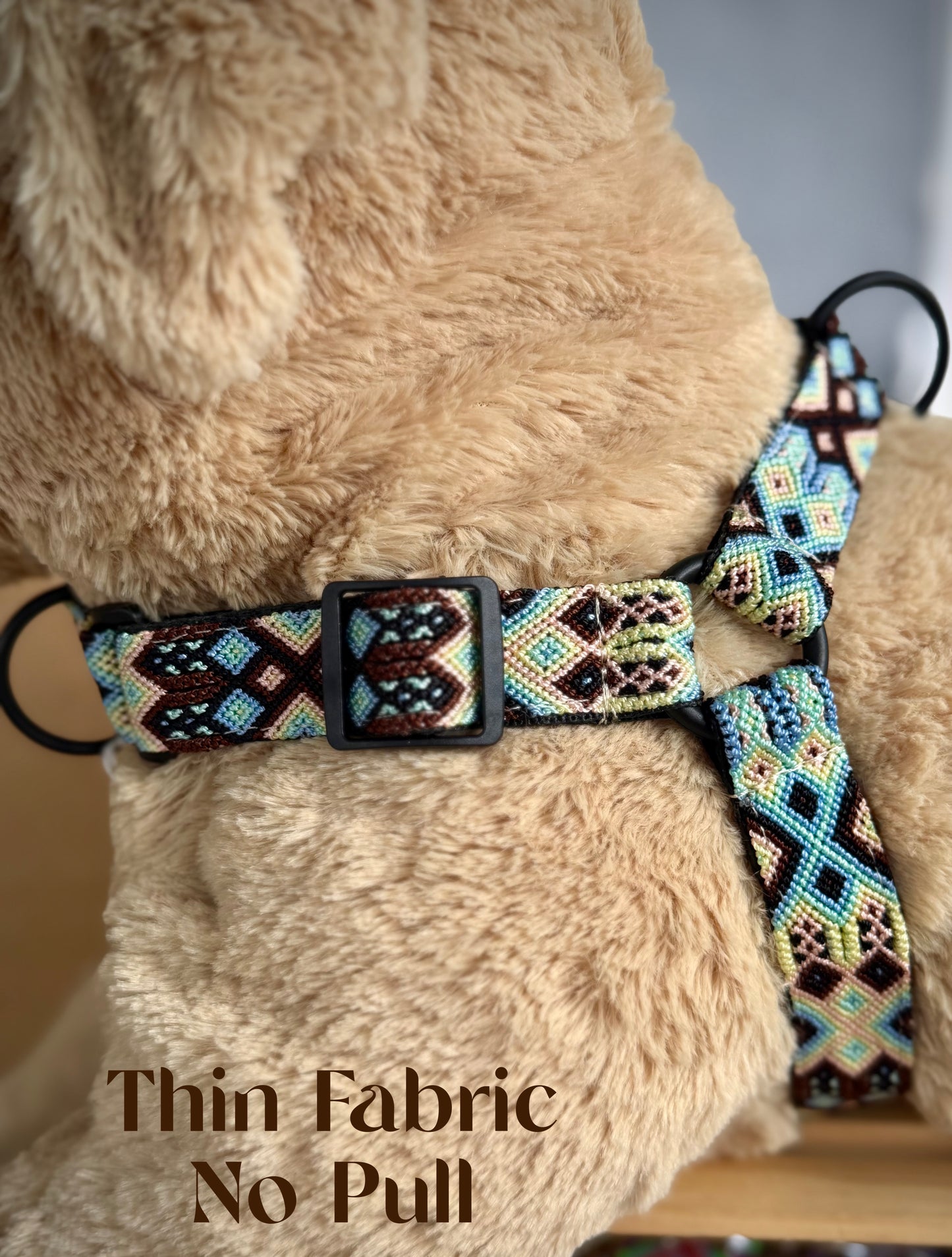 The Ray Harness
