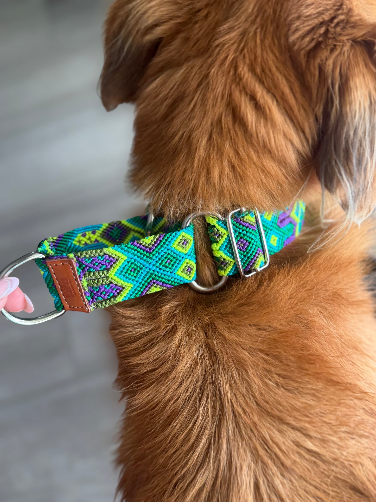Lahaina Martingale Collar