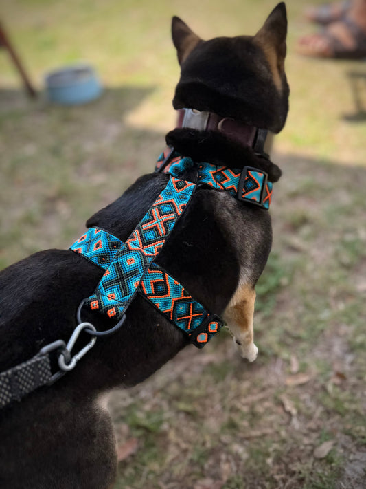 Ziggy Harness