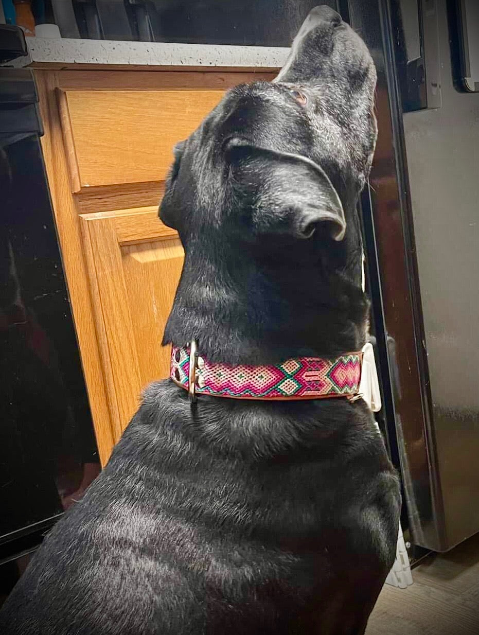 The Palm Collar