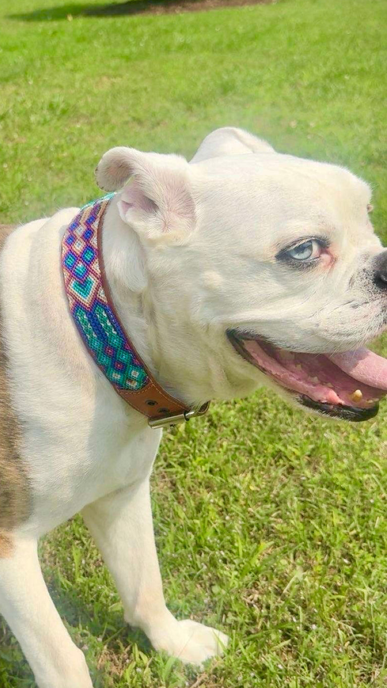 Los Cabos Collar