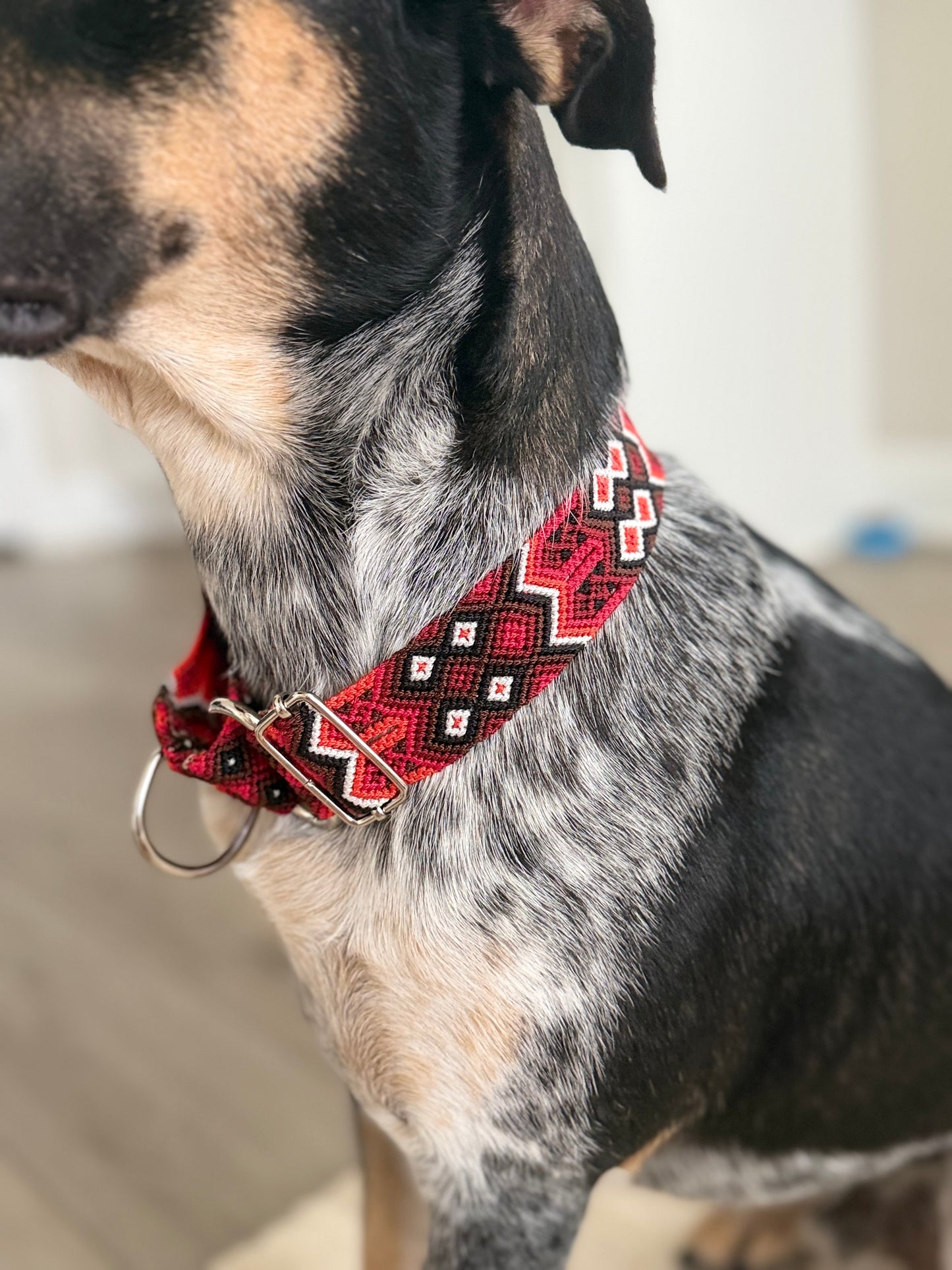 The Heat Martingale Collar