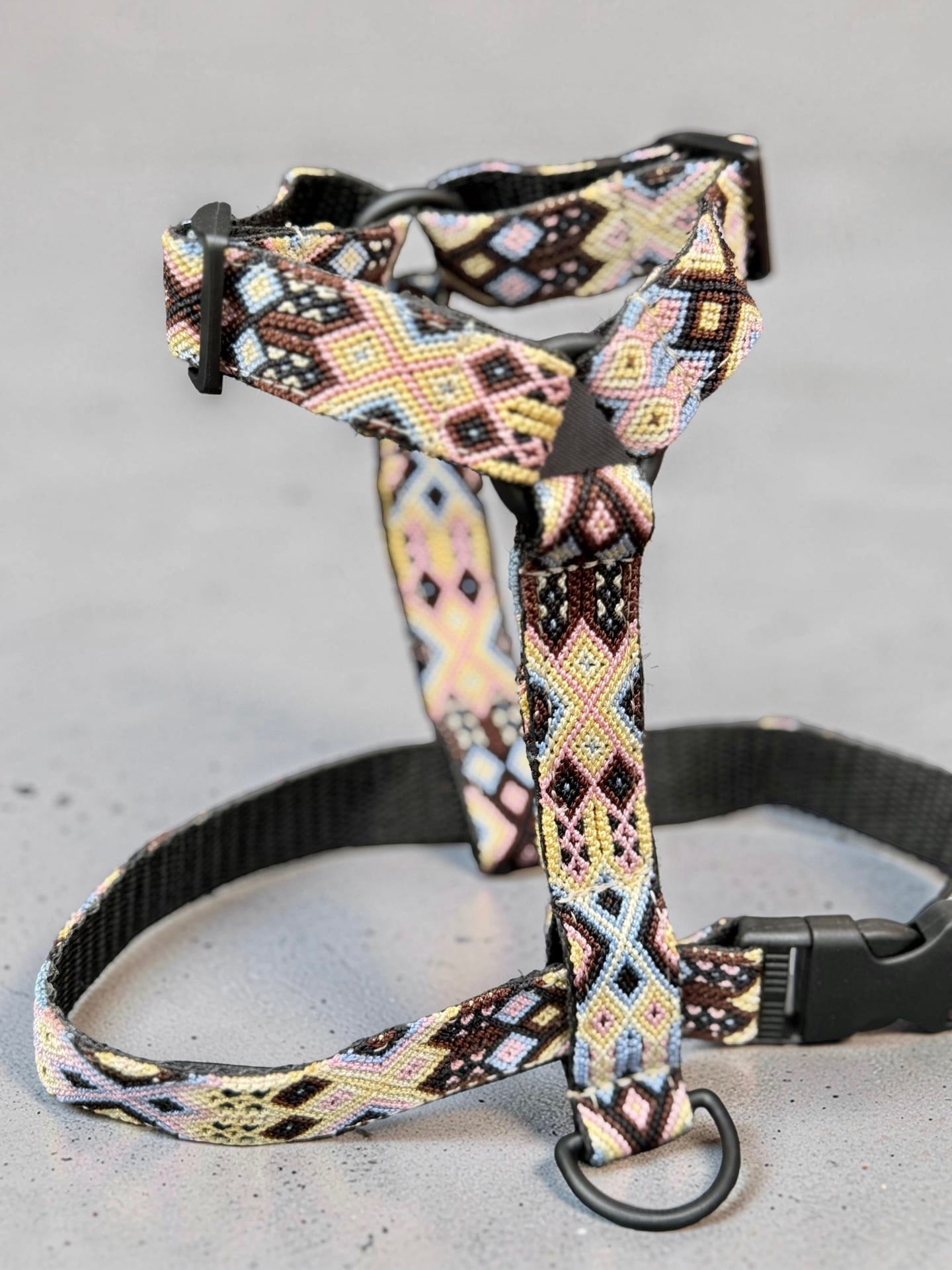 The Ray Harness