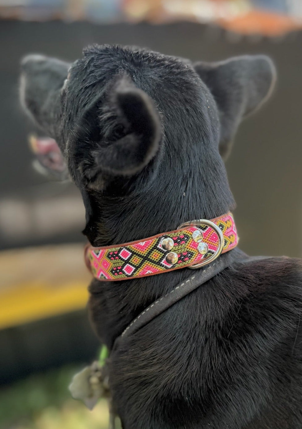 Retro Collar