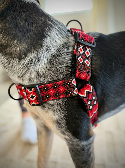 The Heat Harness