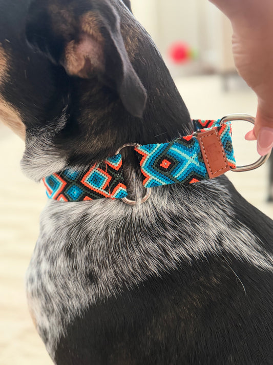 Ziggy Martingale Collar