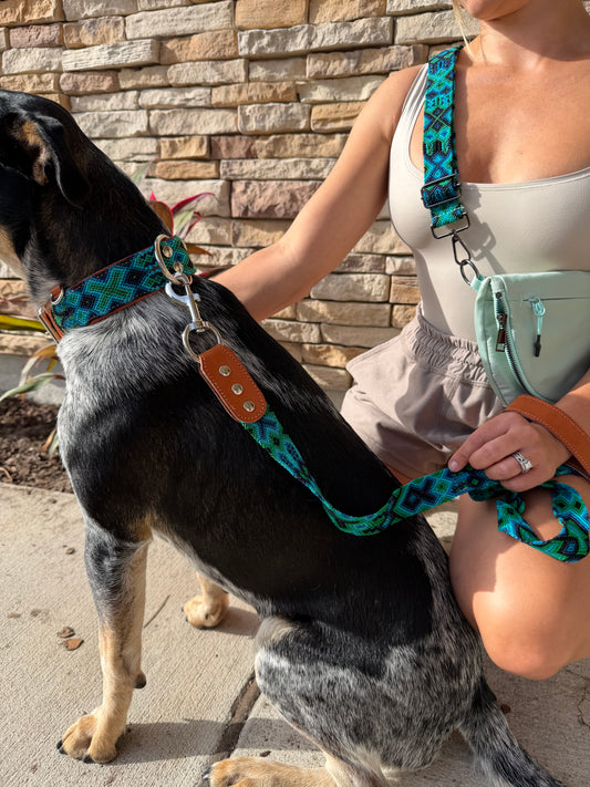 Riptide Bag & Bag Strap