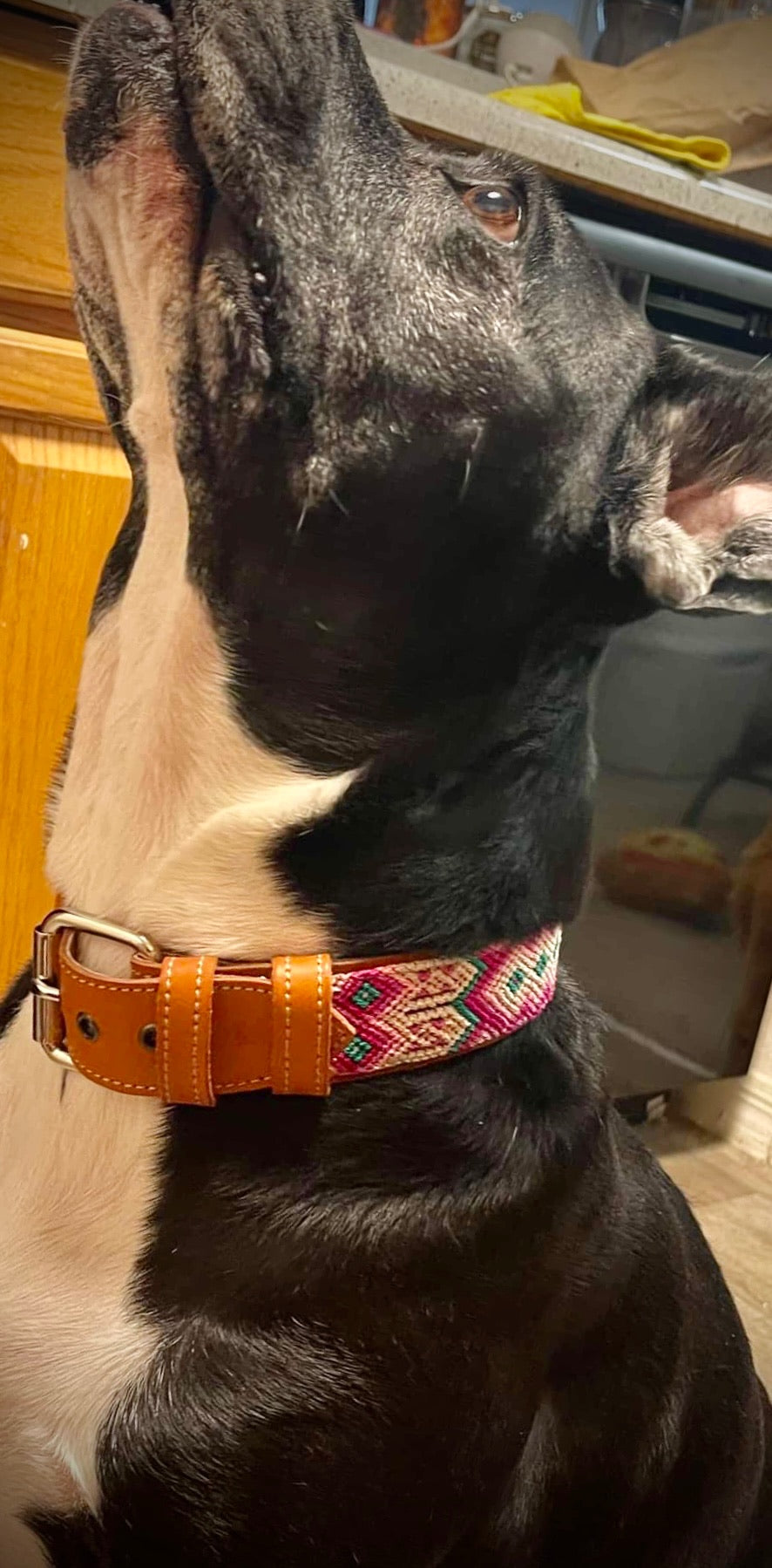 The Palm Collar