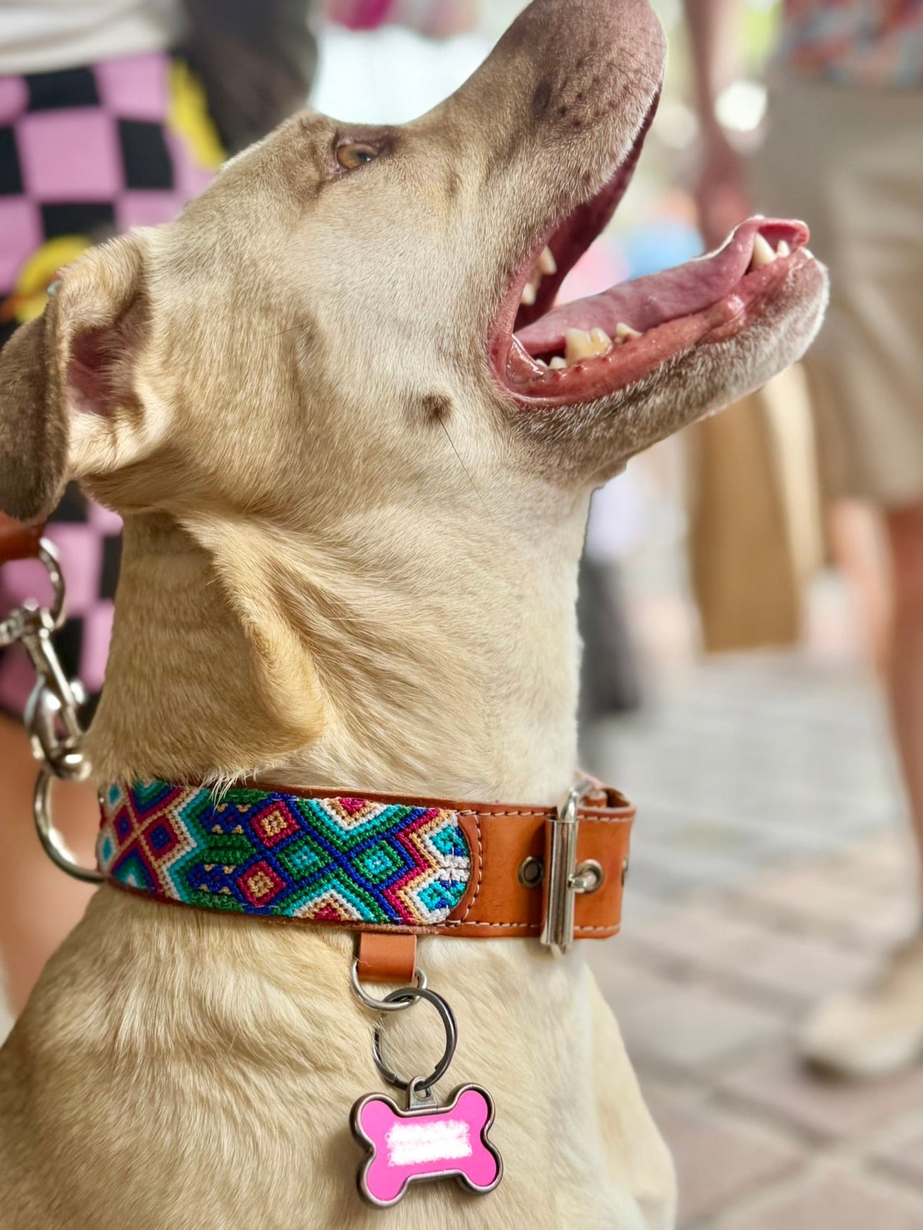 Los Cabos Collar