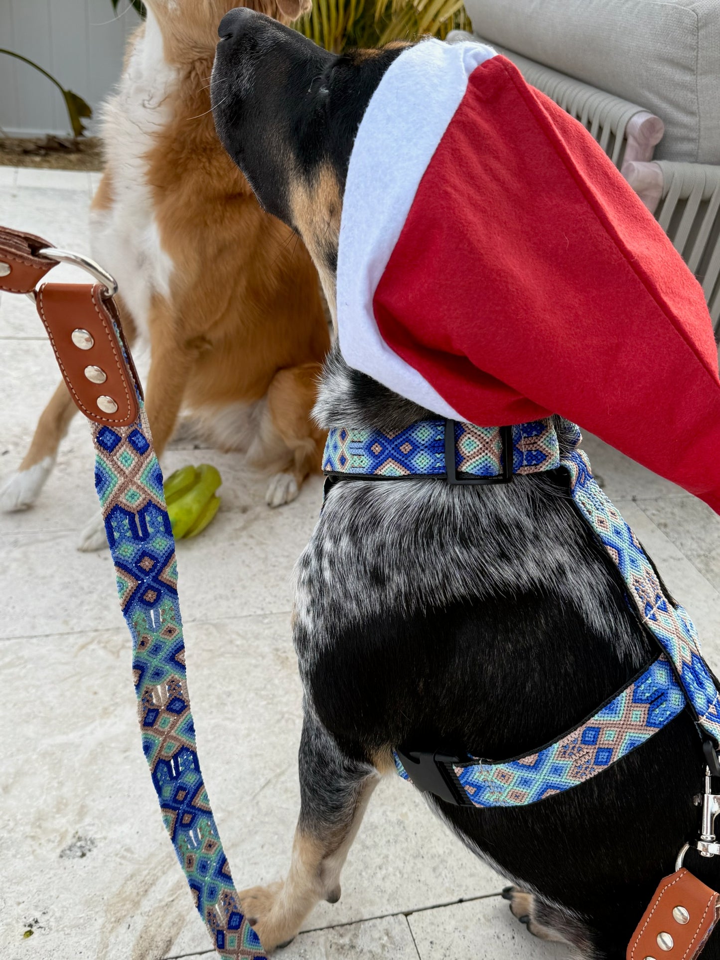 Positano Harness