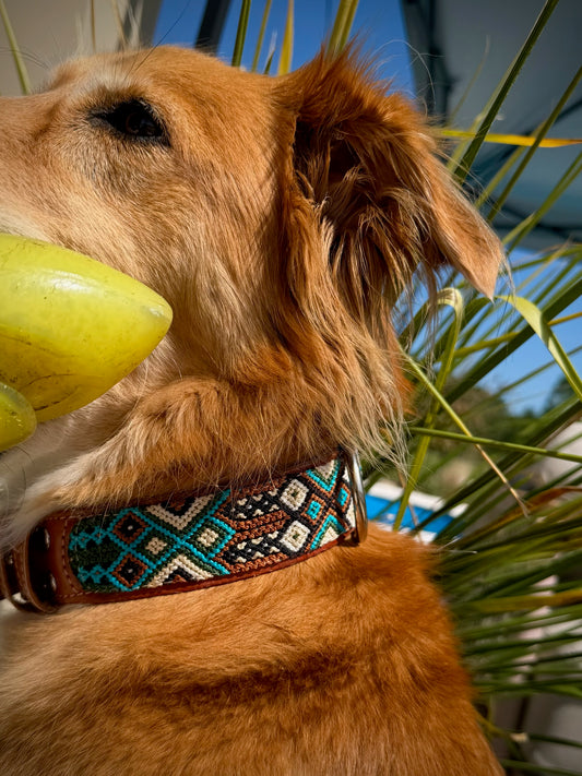 The Pipeline Collar