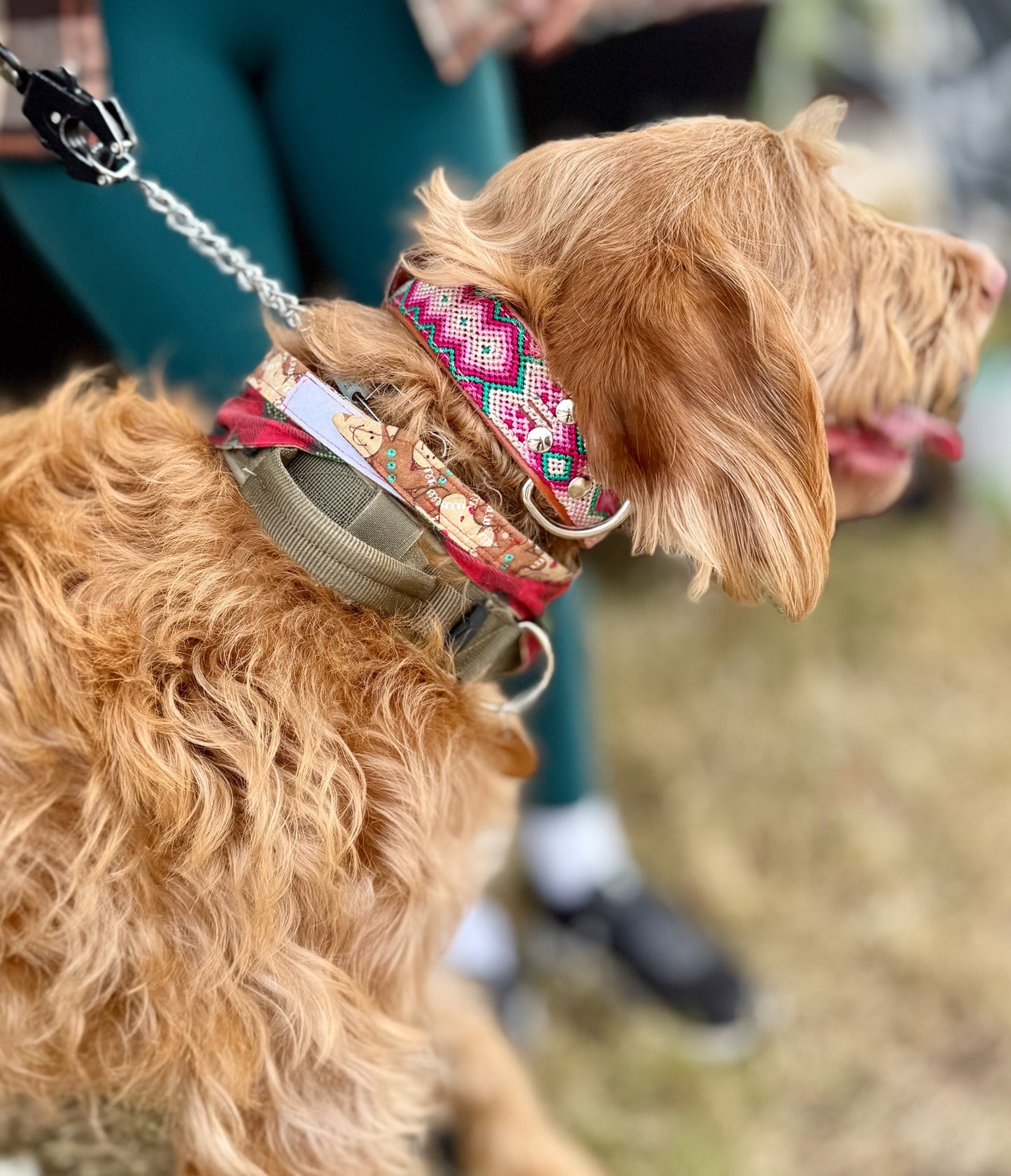 The Palm Collar