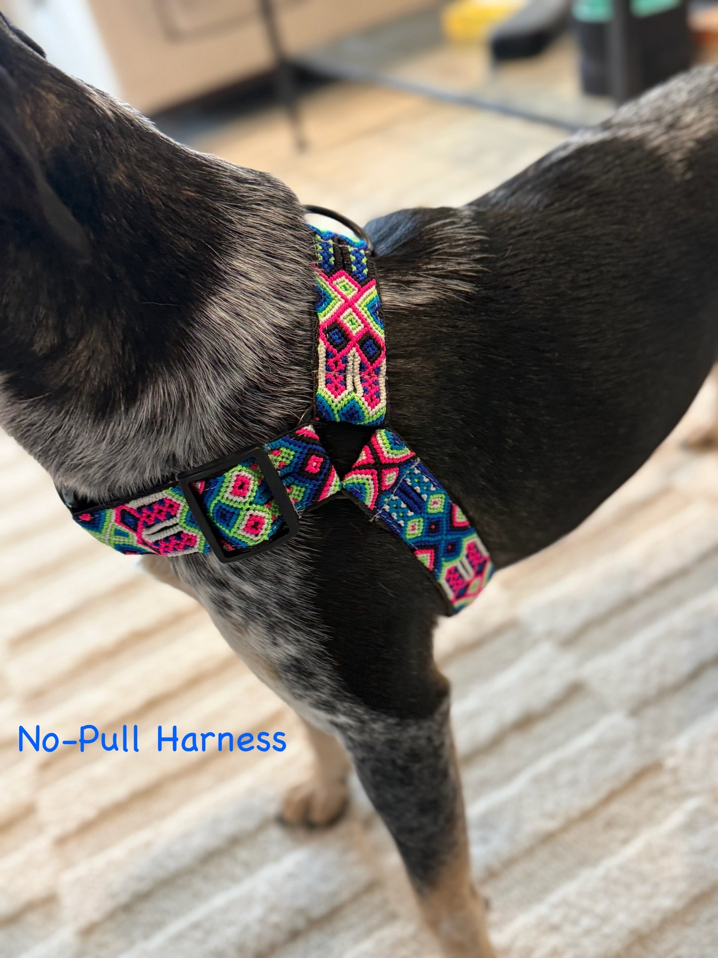 Neon Oasis Harness