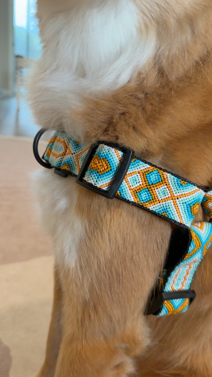 South Beach Harness