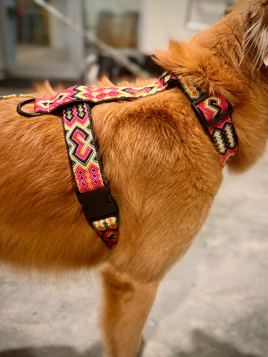 Retro Harness