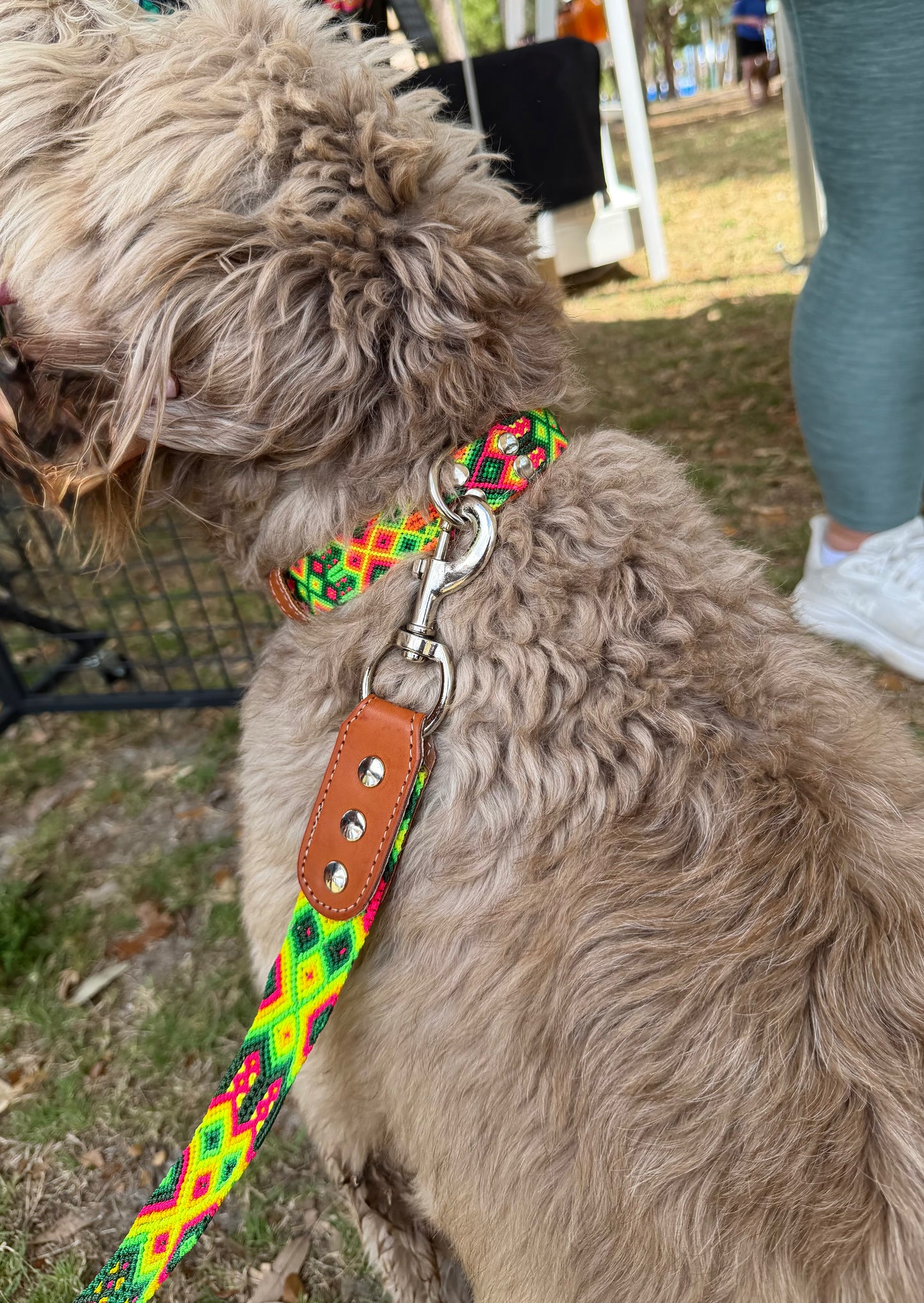 Cape Leash