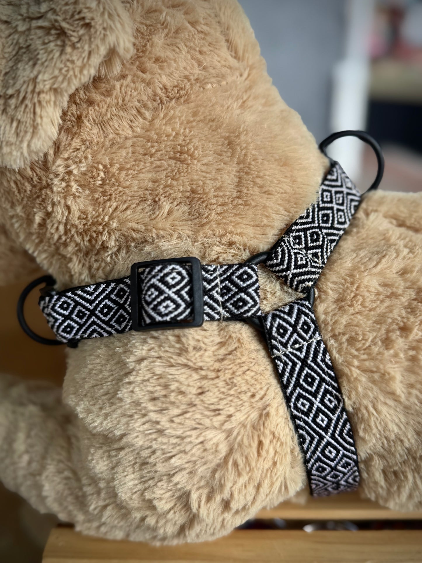 Moomba Harness
