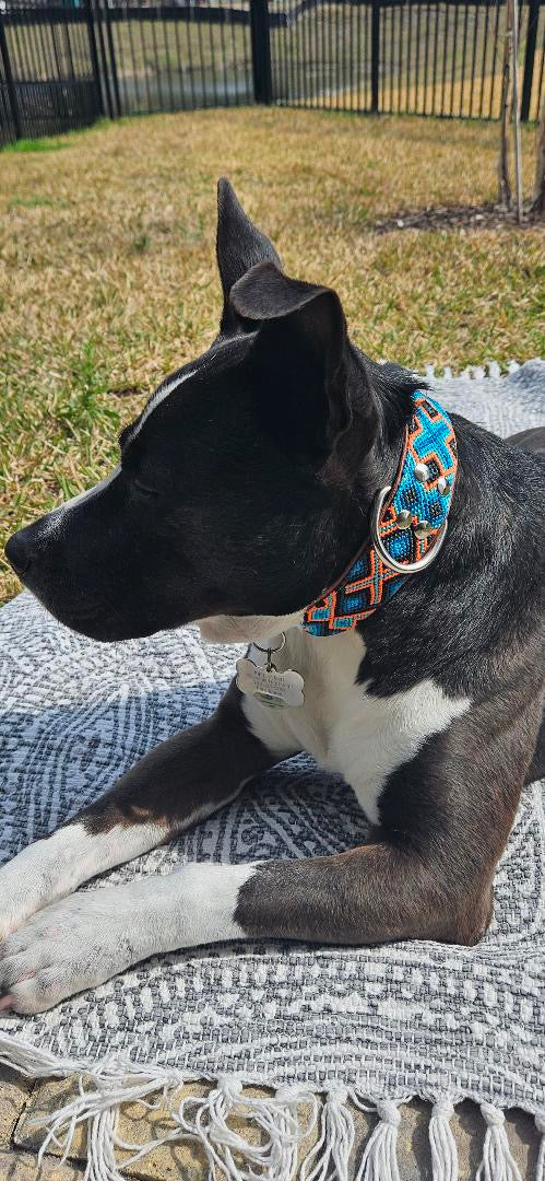 Ziggy Collar