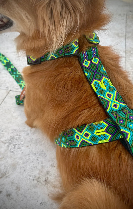 Lahaina Harness