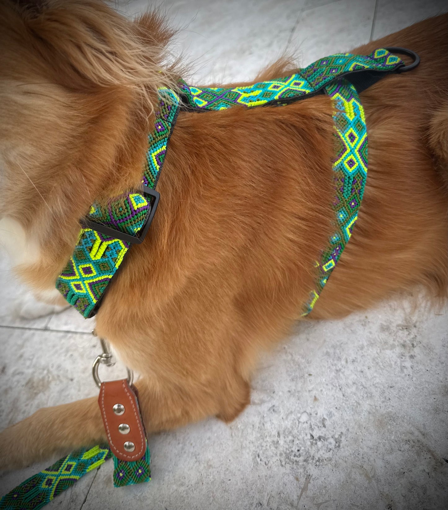 Lahaina Harness