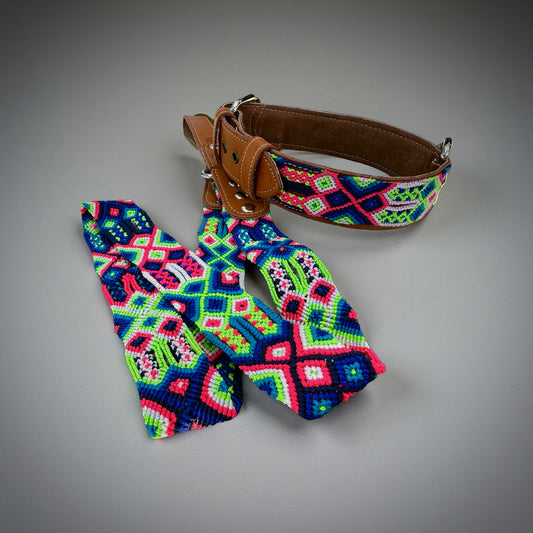 Neon Oasis Collar