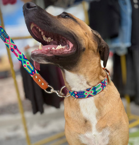 Neon Oasis Collar