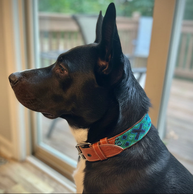 Riptide Collar