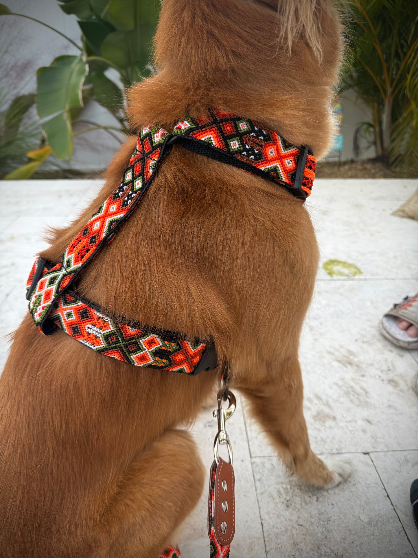 Telluride Harness