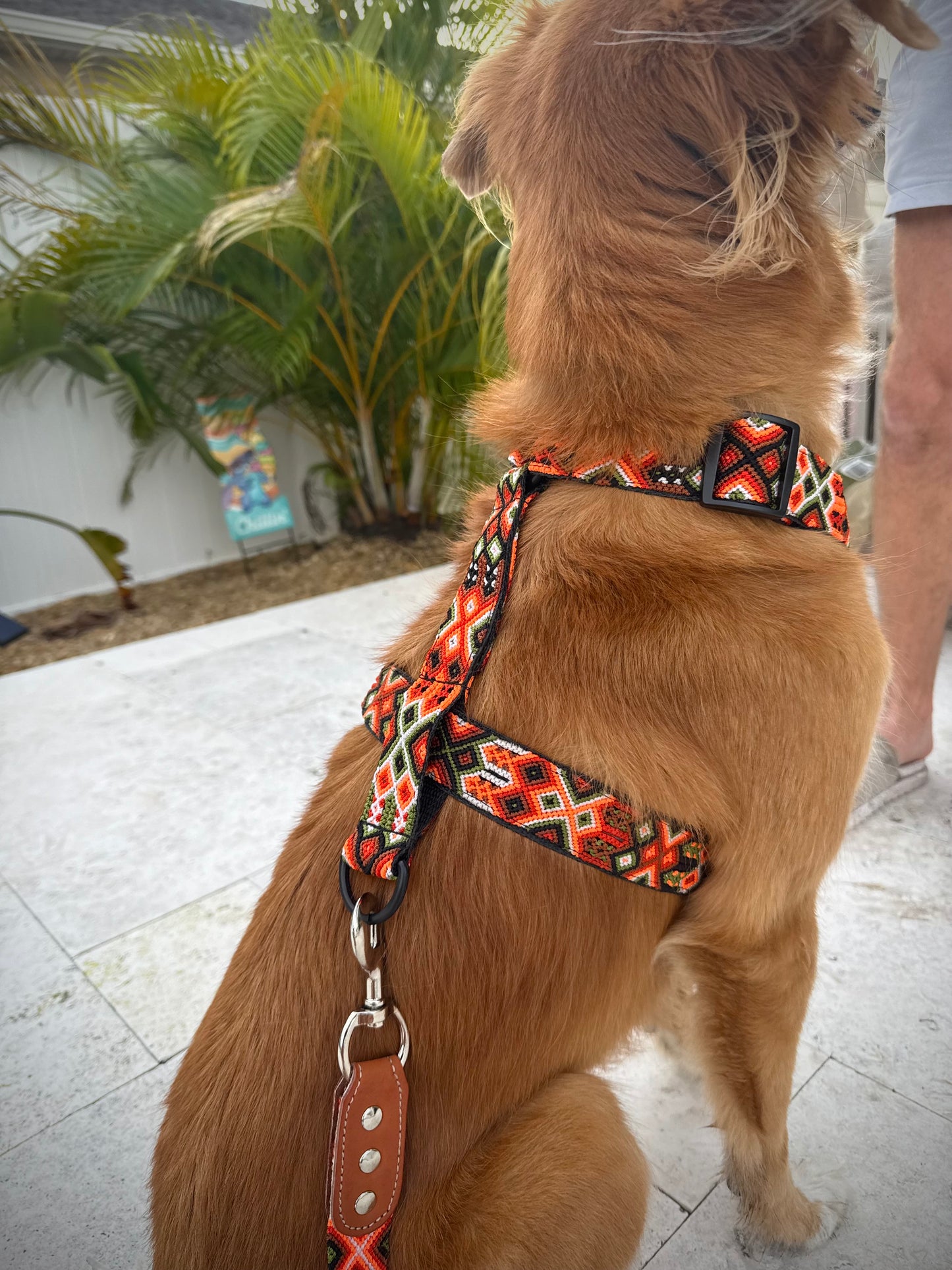 Telluride Harness