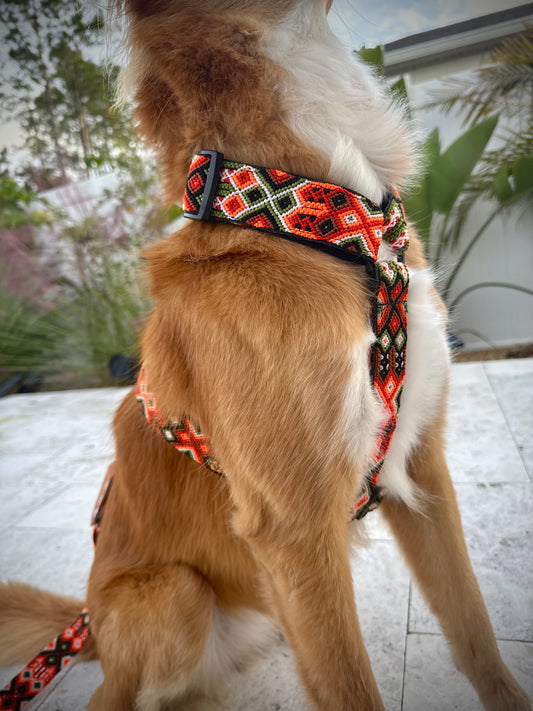 Telluride Harness