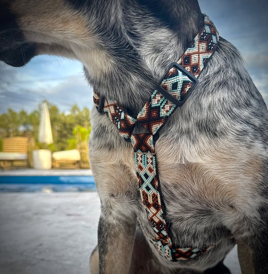 Tybee Harness
