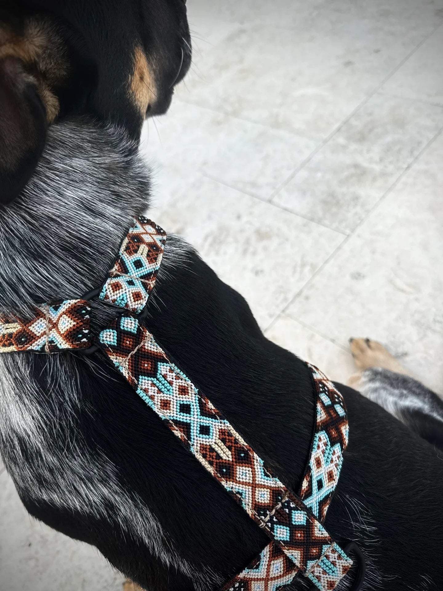 Tybee Harness