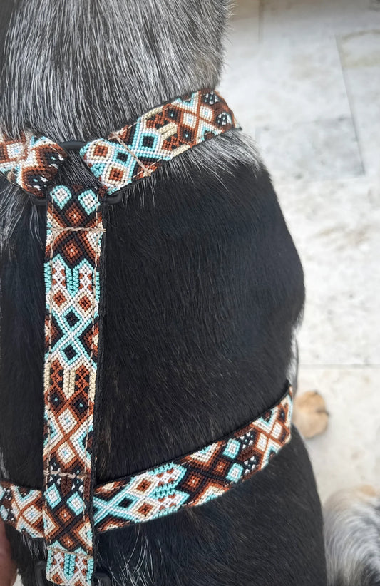 Tybee Harness