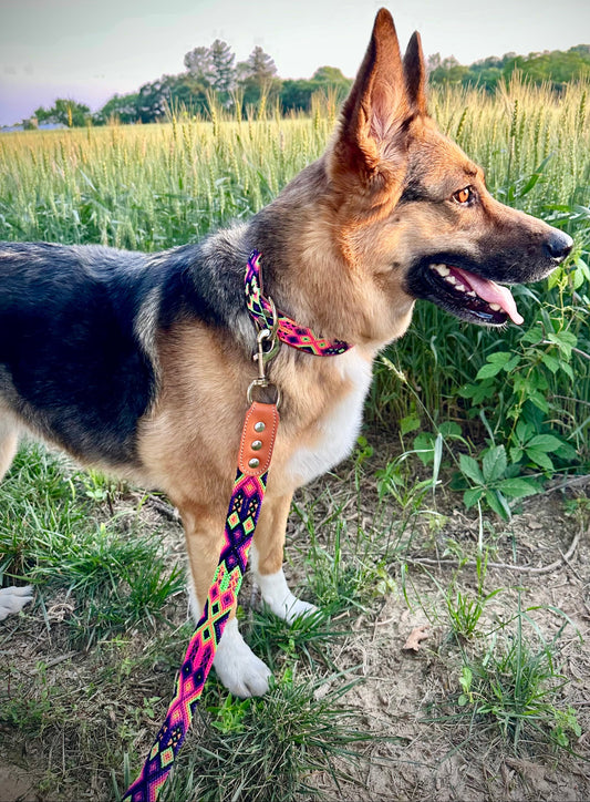 Lilly Collar