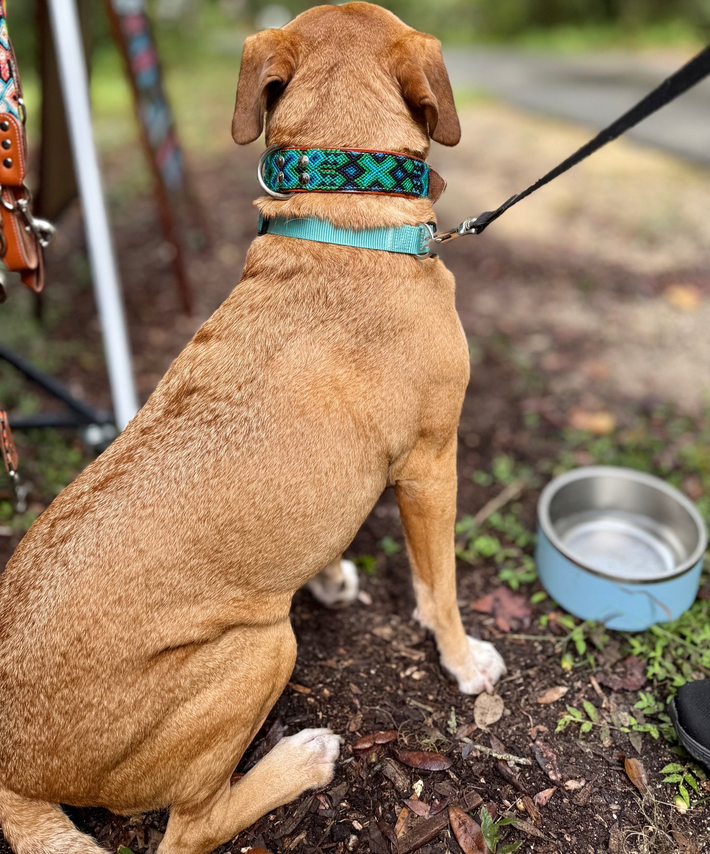 Riptide Collar
