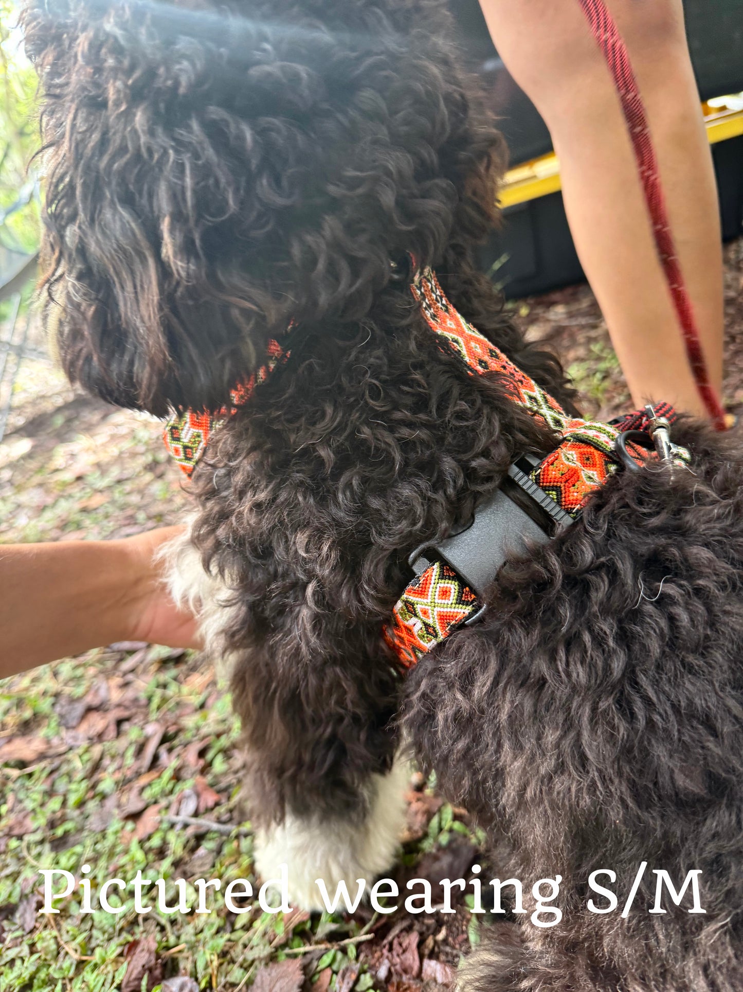 Telluride Harness